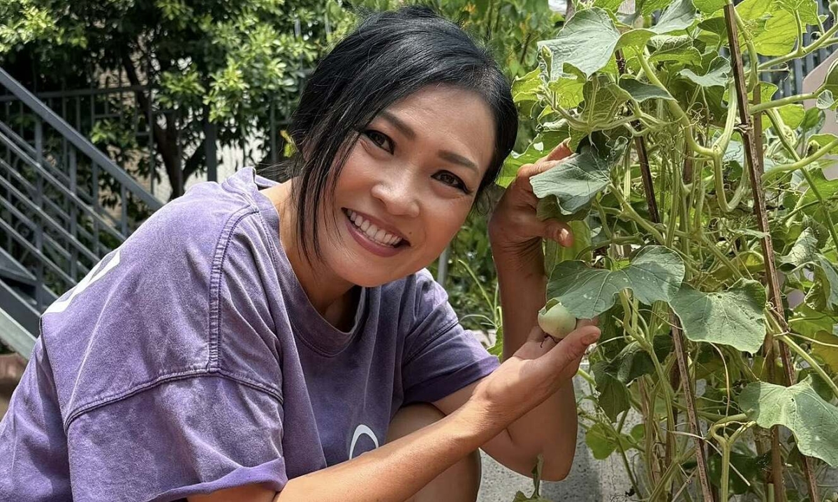 Thưởng tân thủ NEW88 và cảm hứng sống xanh từ vườn rau sân thượng của Phương Thanh - hình ảnh - vipnews88.com Thưởng tân thủ NEW88 và cảm hứng sống xanh từ vườn rau sân thượng của Phương Thanh - hình ảnh - vipnews88.com