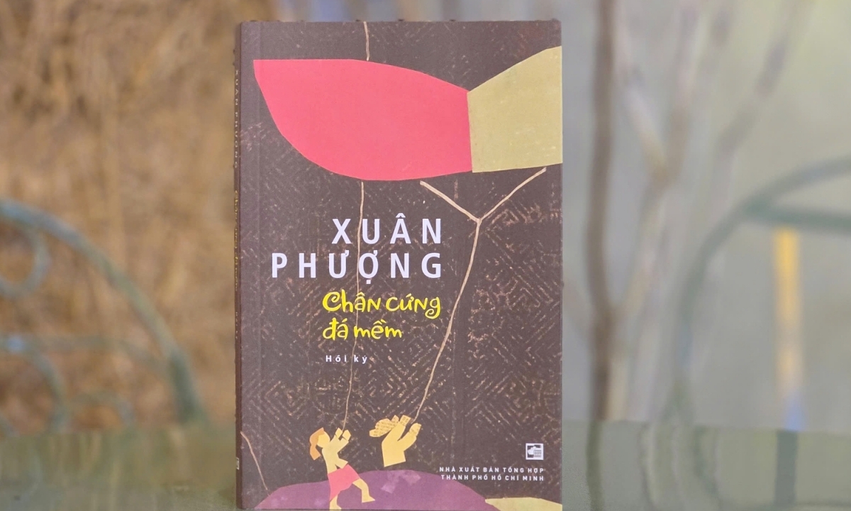 Thưởng đăng ký NEW88 – Cơ hội giải trí song hành cùng cảm hứng từ hồi ký đạo diễn Xuân Phượng - hình ảnh - vipnews88.com