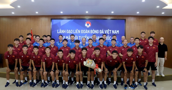 Cá cược bóng đá online