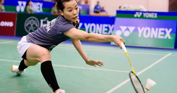 Cá cược thể thao uy tín