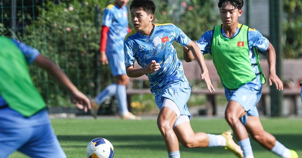 NEW88 cược bóng đá