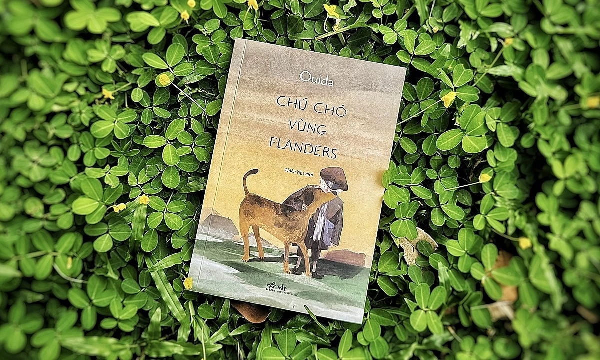 ‘Chú chó vùng Flanders’ hồn nhiên vượt nghịch cảnh - hình ảnh - vipnews88.com ‘Chú chó vùng Flanders’ hồn nhiên vượt nghịch cảnh - hình ảnh - vipnews88.com