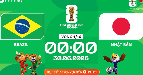 Nhận định Brazil vs Nhật Bản: Trận cầu căng thẳng, cơ hội cho NEW88 Việt Nam - hình ảnh - vipnews88.com