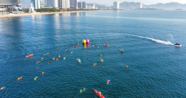 NEW88 hỗ trợ 24/7 đồng hành cùng giải bơi biển SeaStar Nha Trang Bay 2026 - hình ảnh - vipnews88.com NEW88 hỗ trợ 24/7 đồng hành cùng giải bơi biển SeaStar Nha Trang Bay 2026 - hình ảnh - vipnews88.com