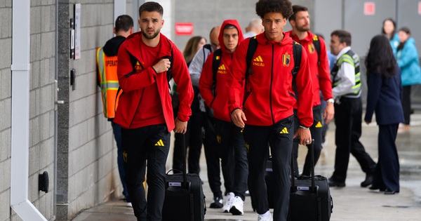 NEW88 cược bóng đá: World Cup 2026 tăng cường giám sát dịch bệnh toàn diện - hình ảnh - vipnews88.com