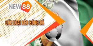 New88 - Chia Sẻ Các Loại Kèo Bóng Đá Phổ Biến Nhất 2024 22 New88 - Chia Sẻ Các Loại Kèo Bóng Đá Phổ Biến Nhất 2024