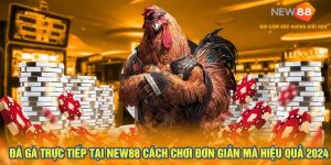 Đá Gà Trực Tiếp Tại New88 Cách Chơi Đơn Giản Mà Hiệu Quả 2024 29 Đá Gà Trực Tiếp Tại New88 Cách Chơi Đơn Giản Mà Hiệu Quả 2024