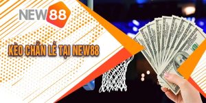 Hướng Dẫn Chơi Kèo Chẵn Lẻ Tại New88 Hiệu Quả Nhất 40 Hướng Dẫn Chơi Kèo Chẵn Lẻ Tại New88 Hiệu Quả Nhất