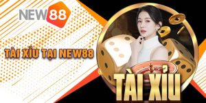 Hướng Dẫn Chơi Tài Xỉu tại New88 Nâng Cao Tỷ Lệ Chiến Thắng 99% 10 Hướng Dẫn Chơi Tài Xỉu tại New88 Nâng Cao Tỷ Lệ Chiến Thắng 99%